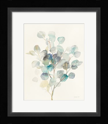 Framed Eucalyptus III Print