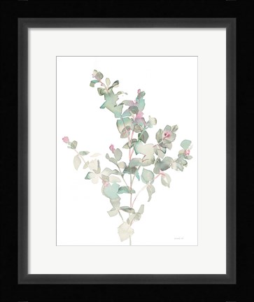 Framed Eucalyptus II White Print
