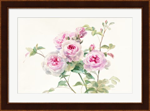 Framed Sweet Roses on White Green Print