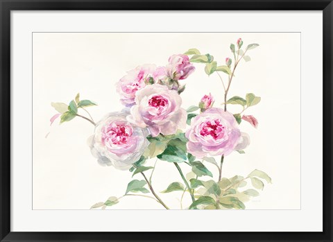 Framed Sweet Roses on White Green Print
