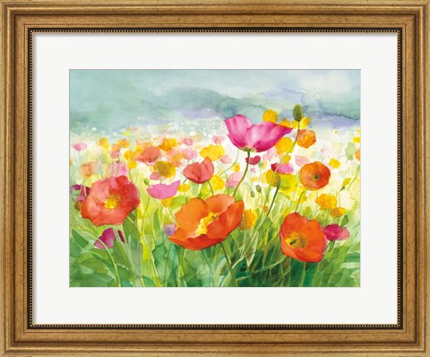 Framed Meadow Poppies Print