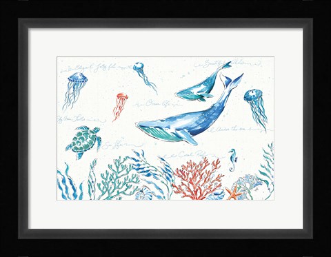 Framed Maritime I Print