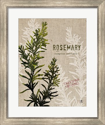 Framed Organic Rosemary No Butterfly Print