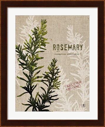 Framed Organic Rosemary No Butterfly Print