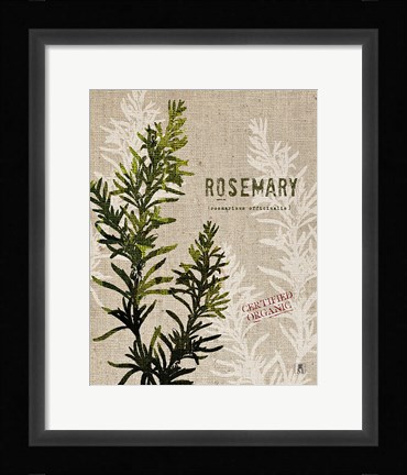 Framed Organic Rosemary No Butterfly Print