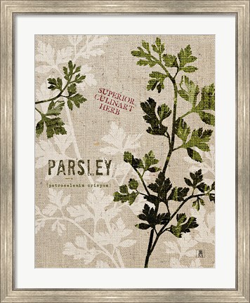 Framed Organic Parsley No Butterfly Print
