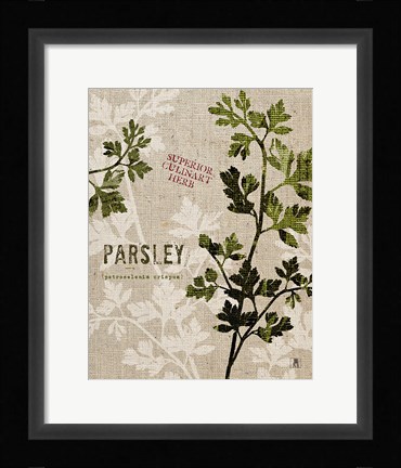 Framed Organic Parsley No Butterfly Print