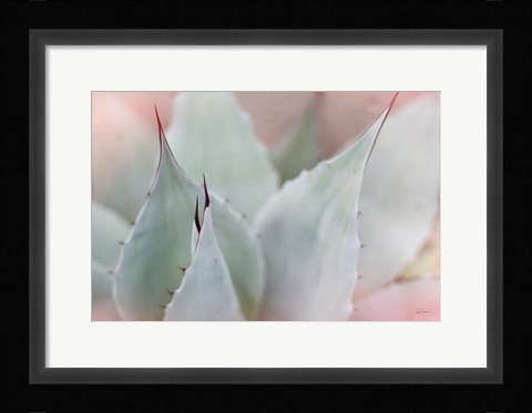 Framed Dream Desert VI Print