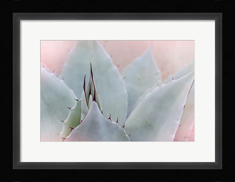 Framed Dream Desert V Print