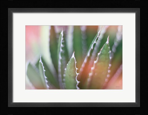 Framed Dream Desert IV Print