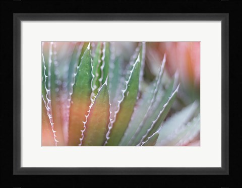 Framed Dream Desert III Print