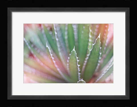 Framed Dream Desert II Print