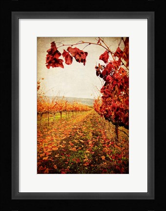 Framed Autumn Vines Print
