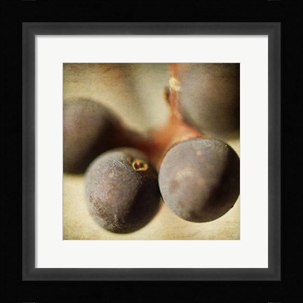 Framed Berries 5 Print