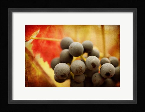 Framed Late Harvest Print