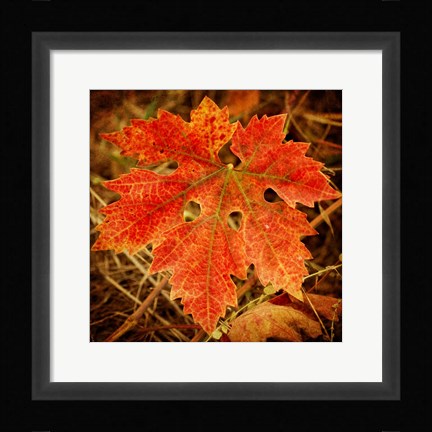 Framed Ochre Foliage Print