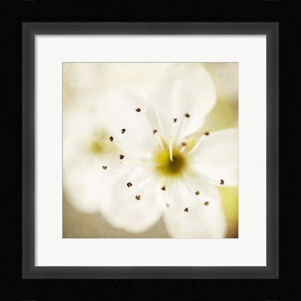 Framed Of Spring Print