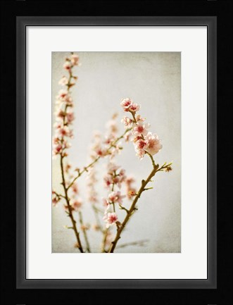 Framed Spring Whispers 2 Print
