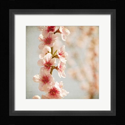 Framed Spring Whispers 4 Print