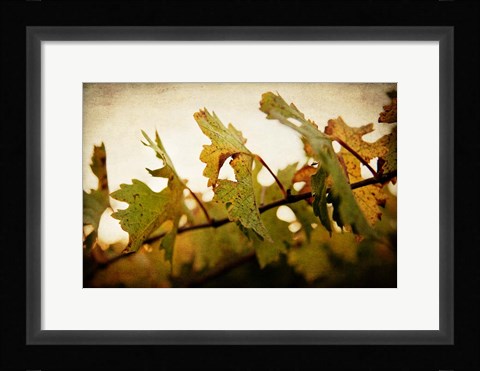 Framed Sunset Vines Print