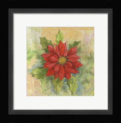 Framed Poinsettia 1 Print
