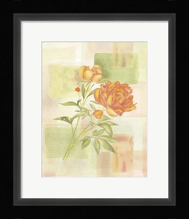 Framed Nature Print