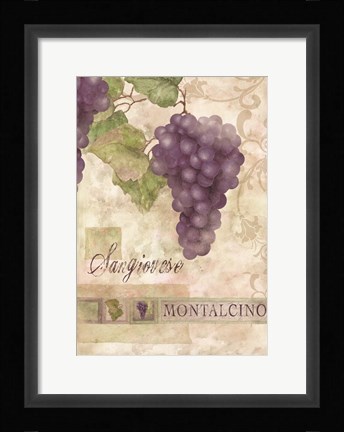 Framed Montalcino Sangiovese 2 Print