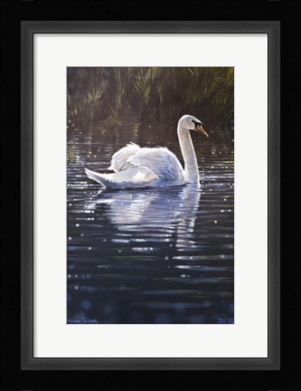 Framed Swan Print