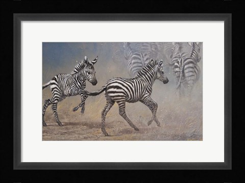Framed Zebras Print