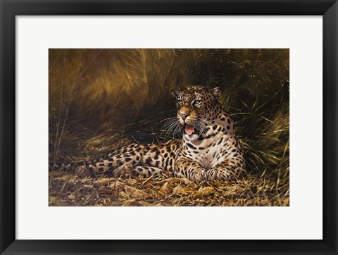 Framed Leopard Print