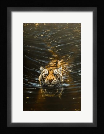 Framed Silent Pursuit Print
