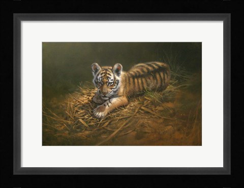 Framed Tiger Cub Print