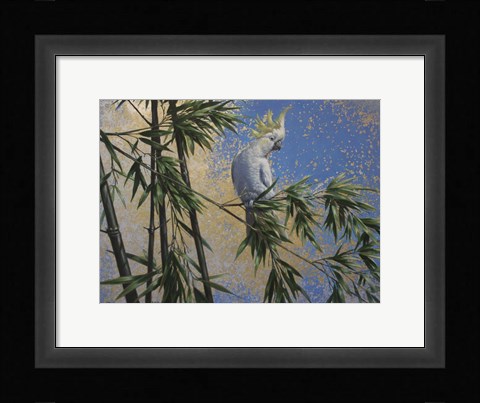 Framed Tropical Perch Print