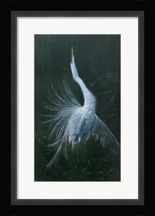 Framed Displaying Egret Print