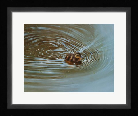 Framed Duckling Print