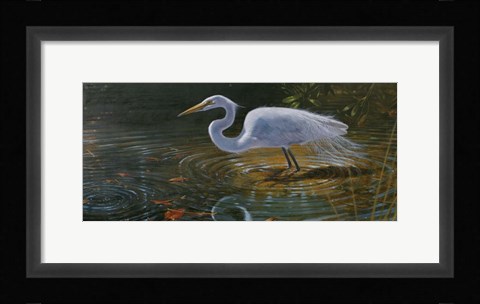 Framed Egret Print
