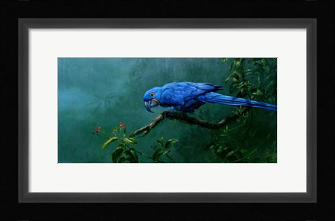 Framed Hyacinth Print