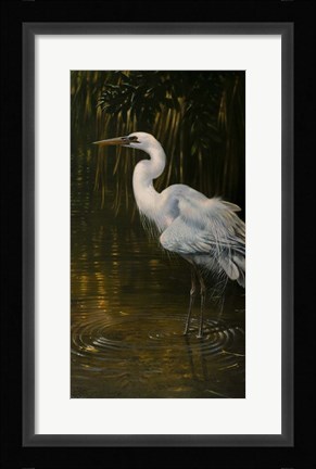 Framed Last Light Print