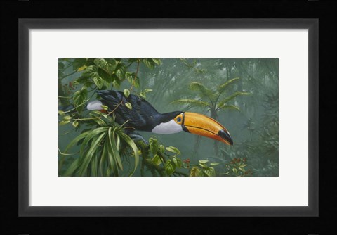 Framed Toco Toucan Print