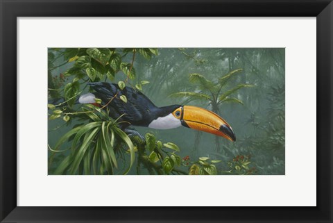 Framed Toco Toucan Print