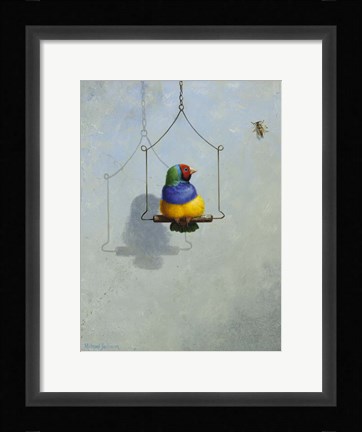 Framed Gouldian Finch Print