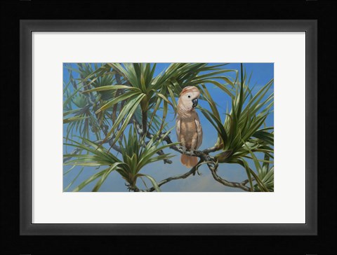 Framed Mullocan Print