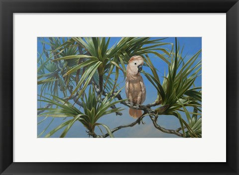 Framed Mullocan Print