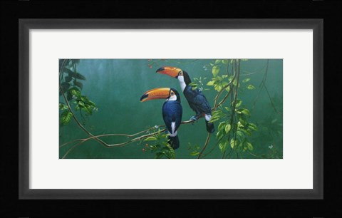 Framed Toucans Print