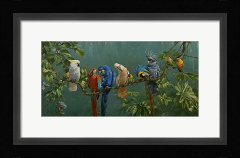 Framed Perroquets Print