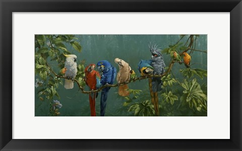 Framed Perroquets Print