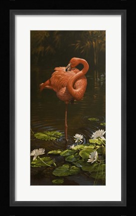 Framed Pirhouette Print