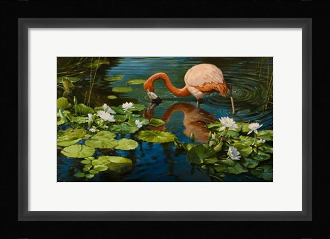 Framed Reflections Print