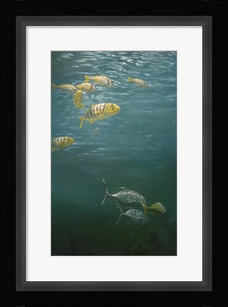 Framed Fish Print