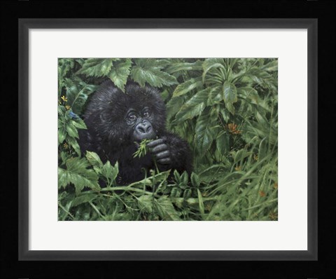 Framed Gorilla 1 Print